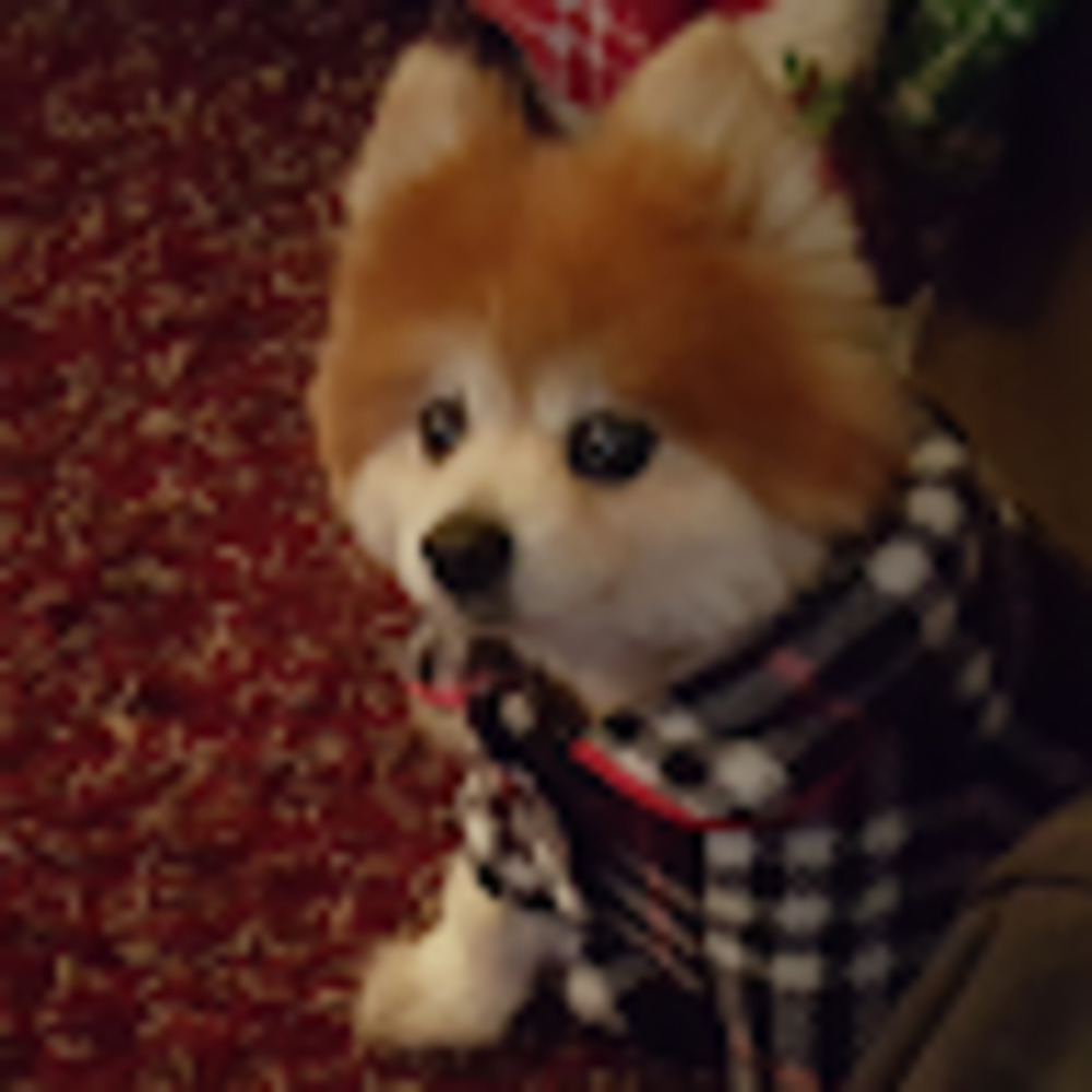 Meet your Posher, Jason